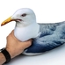М'яка іграшка антистрес «Seagull»