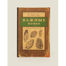 Визитница «Важные шишки» купить в интернет-магазине Супер Пуперс