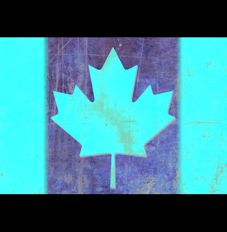 Обложка на паспорт «Канада»