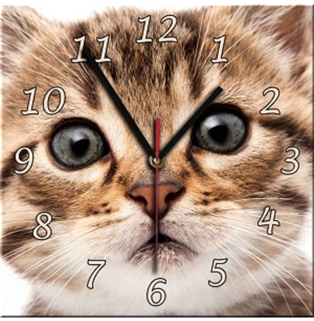 Настенные часы из стекла «Котенок №1»
