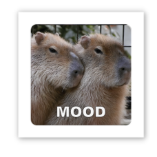3D-стикер "Kapibara mood" купить в интернет-магазине Супер Пуперс