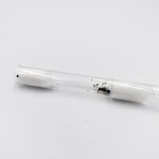 Колония муравьёв Messor Structor