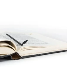 Закладка для книг «Ворона» придбати в інтернет-магазині Супер Пуперс