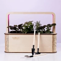 Умный набор для выращивания растений «Ecobloom», чайный набор