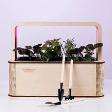 Розумний набір для вирощування рослин «Ecobloom», мікрогрін придбати в інтернет-магазині Супер Пуперс