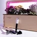 Умный набор для выращивания растений «Ecobloom», травы-приправы