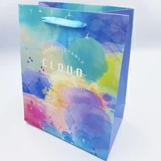Подарочный пакет «Cloud» (multicoloured) 23х18х10 см купить в интернет-магазине Супер Пуперс