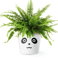 Кашпо MyFacepot «Панда»