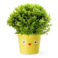 Кашпо MyFacepot «Цыпа»