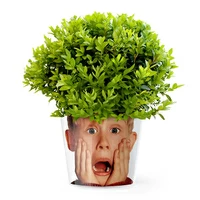 Кашпо MyFacepot «Один дома»
