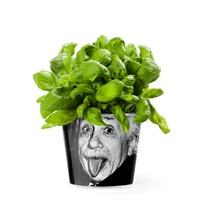 Кашпо MyFacepot «Эйнштейн»