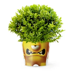 Кашпо MyFacepot «Plant Monster (yellow)» купить в интернет-магазине Супер Пуперс