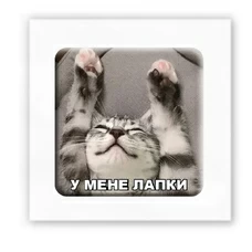 3D-стикер «У меня лапки» купить в интернет-магазине Супер Пуперс