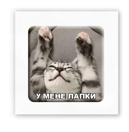 3D-стікер «У мене лапки»