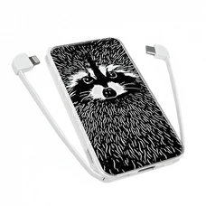 Внешний аккумулятор PowerBank 5000 mAh «Енот» купить в интернет-магазине Супер Пуперс
