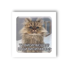 3D-стикер «Висипаєшся?» купить в интернет-магазине Супер Пуперс