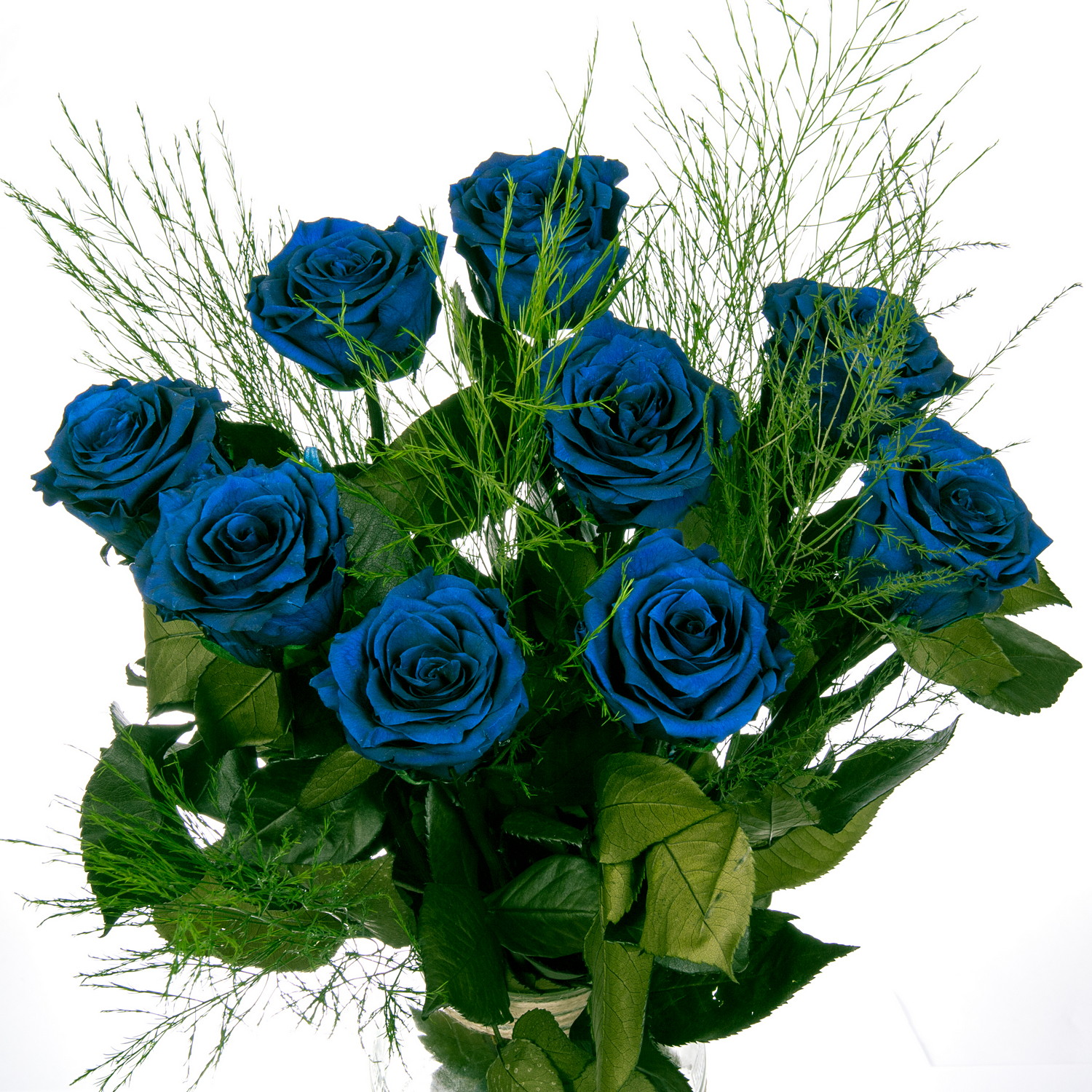 Синие Кустовые Розы